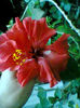 Fotogr.0862