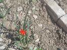 DSCN8120_3591