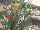 DSCN8123_3594