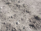 DSCN8124_3595