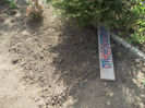 instrumentul meu de plantat ridichii
