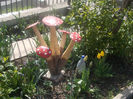 DSCN8130_3601