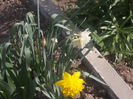 DSCN8131_3602