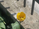 DSCN8132_3603