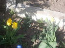 DSCN8133_3604