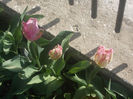 DSCN8134_3605