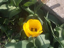 DSCN8136_3607