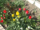 DSCN8138_3609