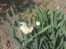 DSCN8139_3610
