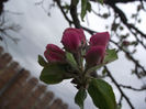 DSCF0107