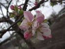 DSCF0108