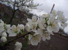 DSCF0110
