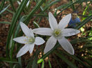 DSCF0112