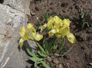 DSCF0113
