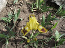 DSCF0114