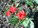 DSCN4027