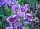 DSCN4042