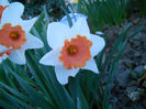 DSCN4049