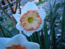 DSCN4053