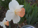 DSCN4075