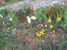 DSCN4084