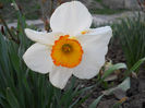 DSCN4097
