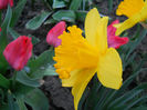 DSCN4115