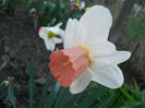 DSCN4130