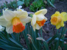 DSCN4134