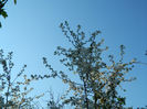 DSCN7100