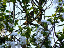 DSCN7140