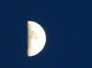 DSCN7175