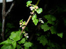 DSCN7182