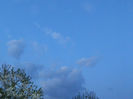DSCN7186