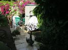 IMG_0891
