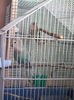 20130418_110416
