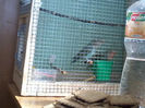 20130420_152451