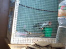 20130420_152501