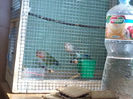 20130420_152512