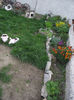 DSCF0132