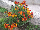 DSCF0130