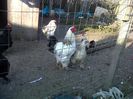 IMG00614-20130419-0812