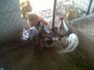 IMG00649-20130420-1351