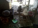 IMG00646-20130420-1350