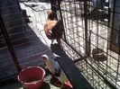 IMG00639-20130420-1348