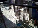 IMG00636-20130420-1346