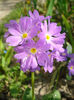 DSC02457