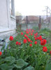 DSCN1784