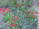 DSCN1785