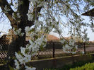 DSCN1798